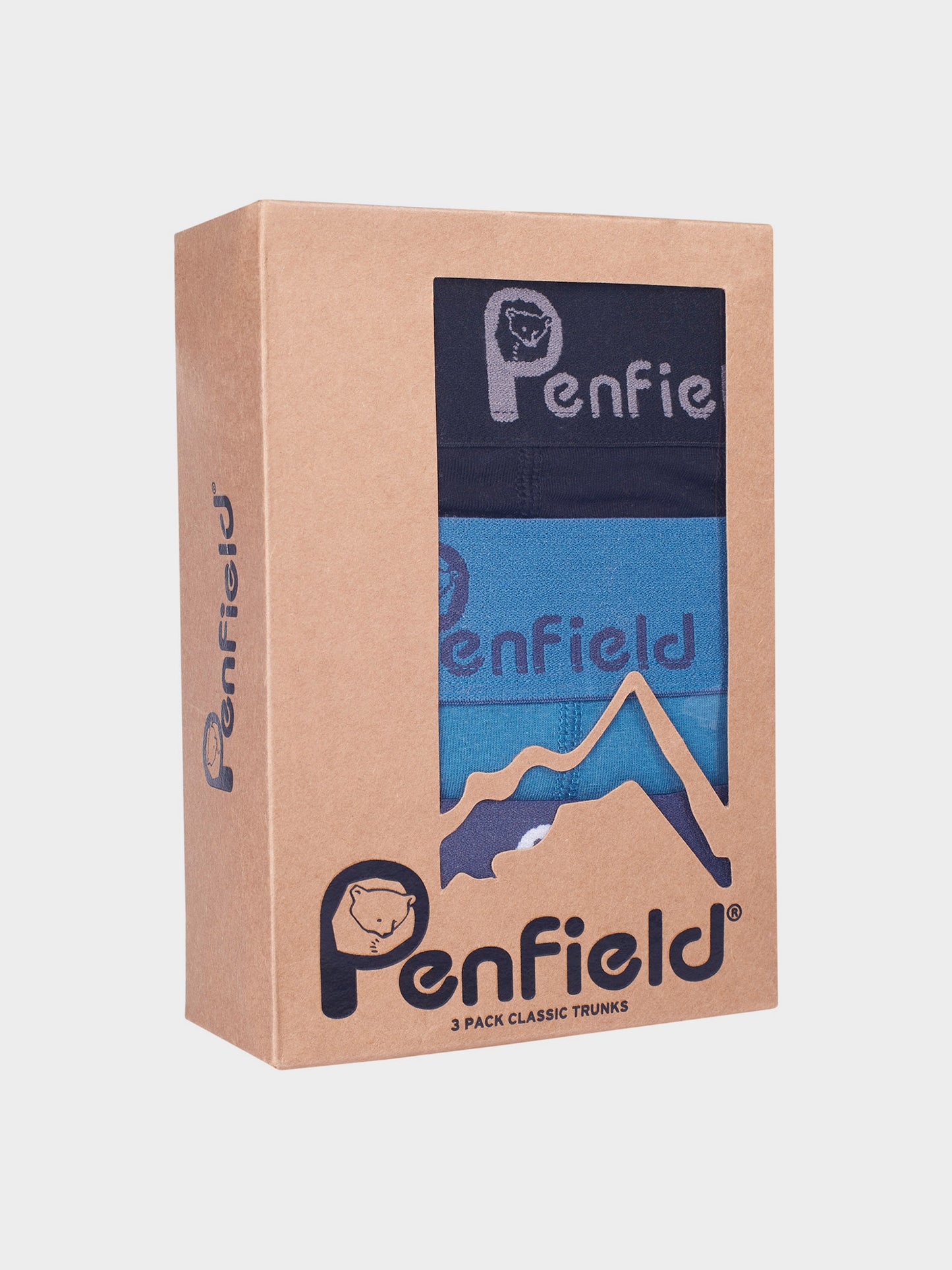 3 Pack P Bear Boxer Trunks in Mallard Blue