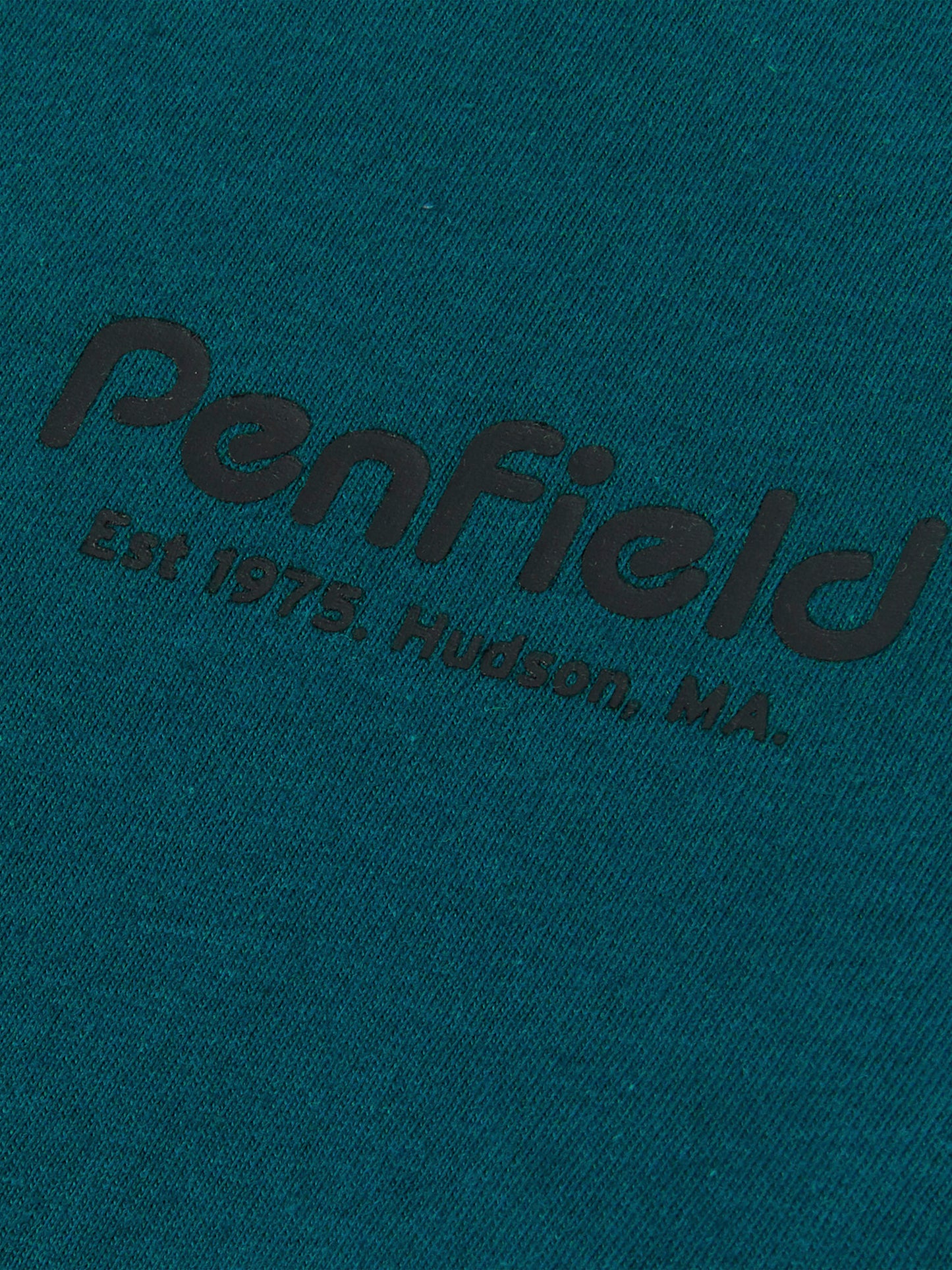 Sketch Mountain Back Graphic Long Sleeve T-Shirt in Deep Teal