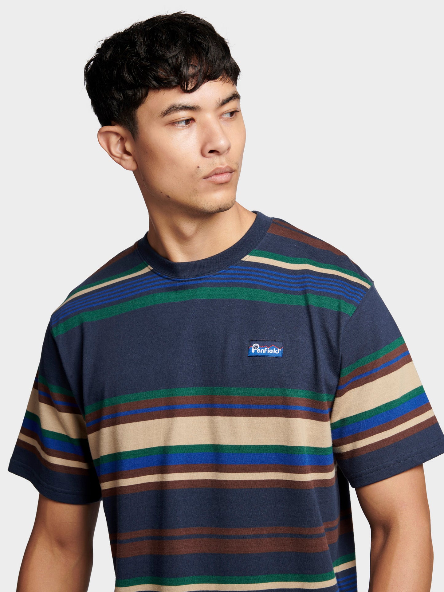 Stripe T-Shirt in Navy Blue