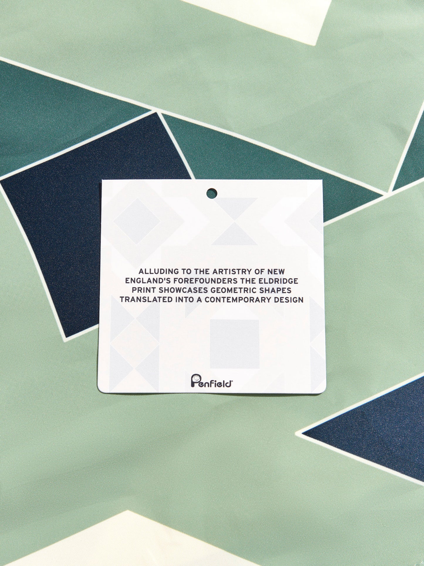 Eldridge Print Packable Swim Shorts in Mistletoe