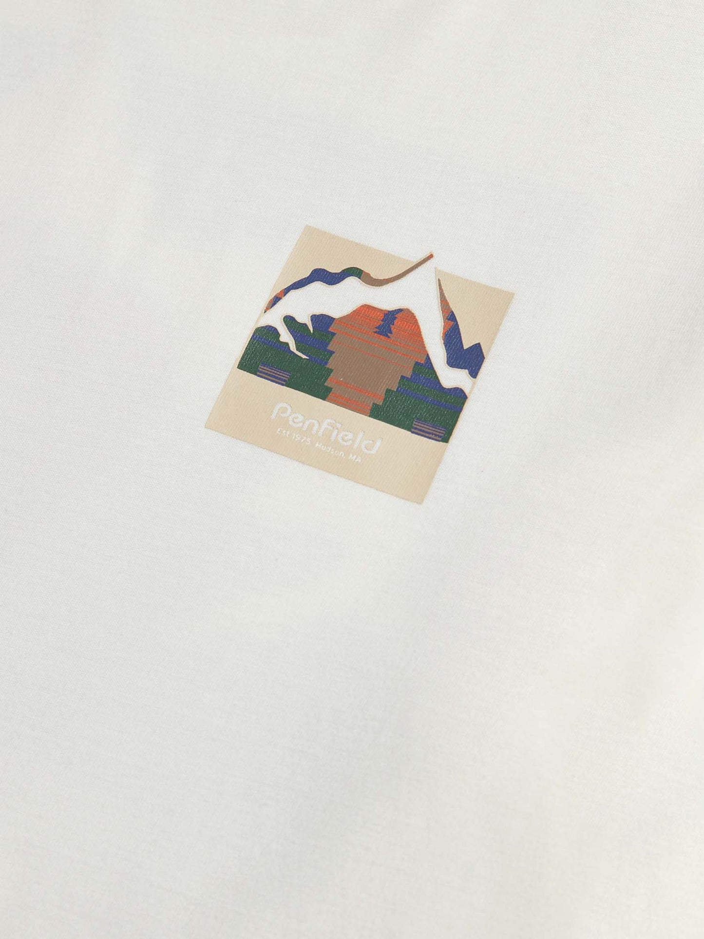 Mountain Back Forefounders T-Shirt in Vanilla Ice