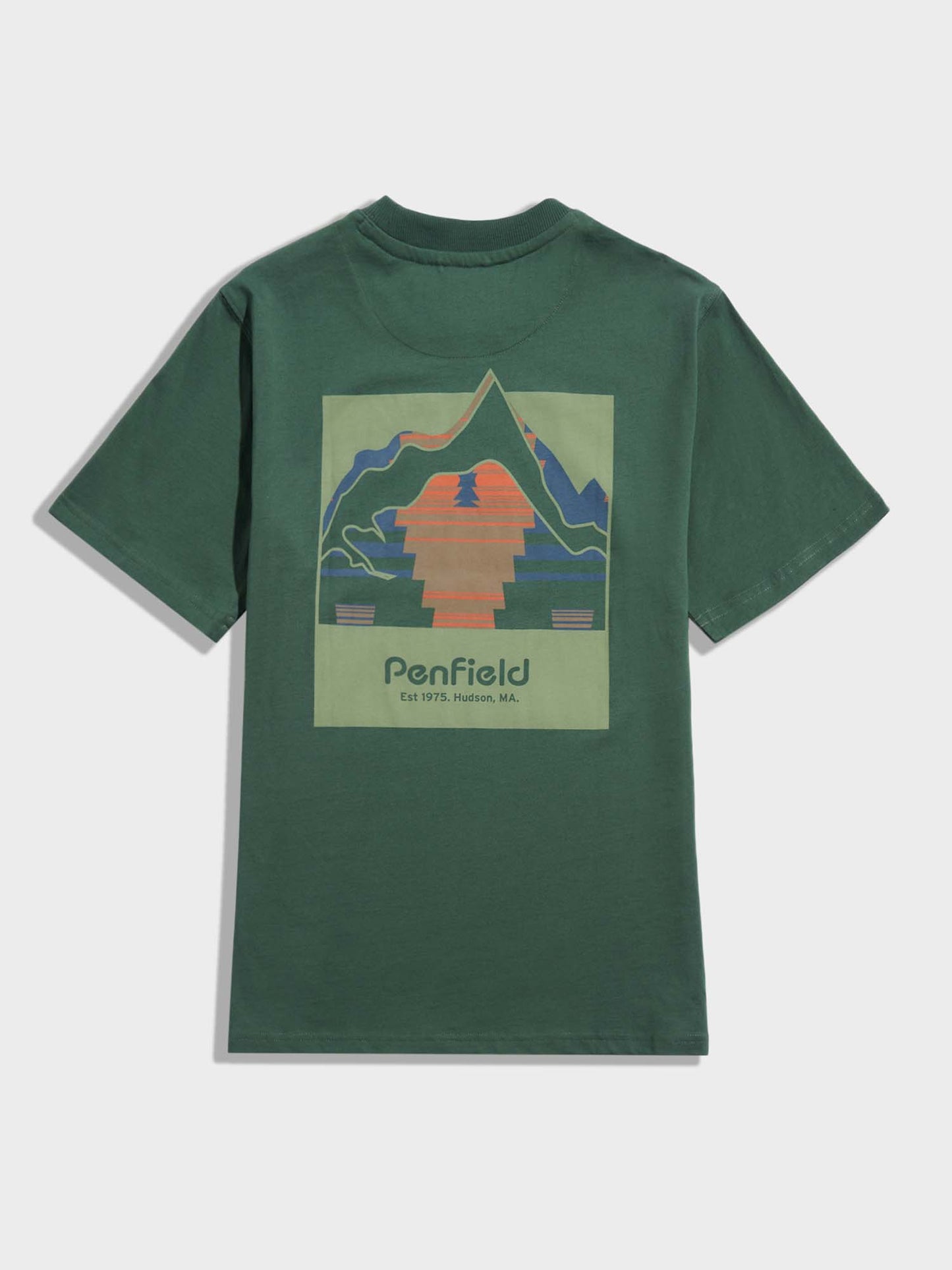 Mountain Back Forefounders T-Shirt in Cilantro