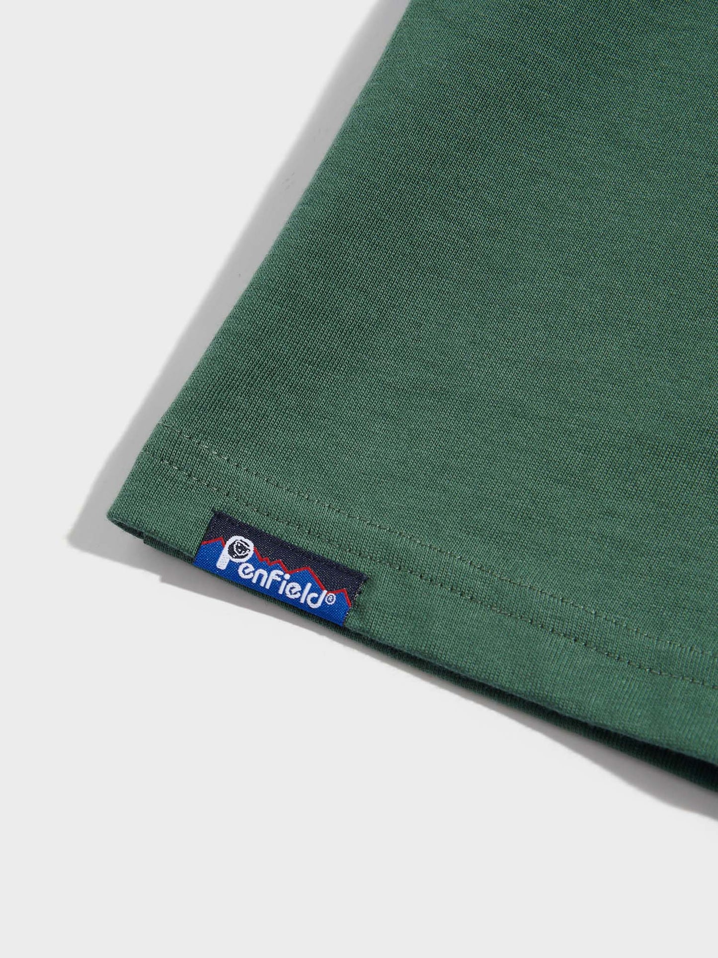 Mountain Back Forefounders T-Shirt in Cilantro