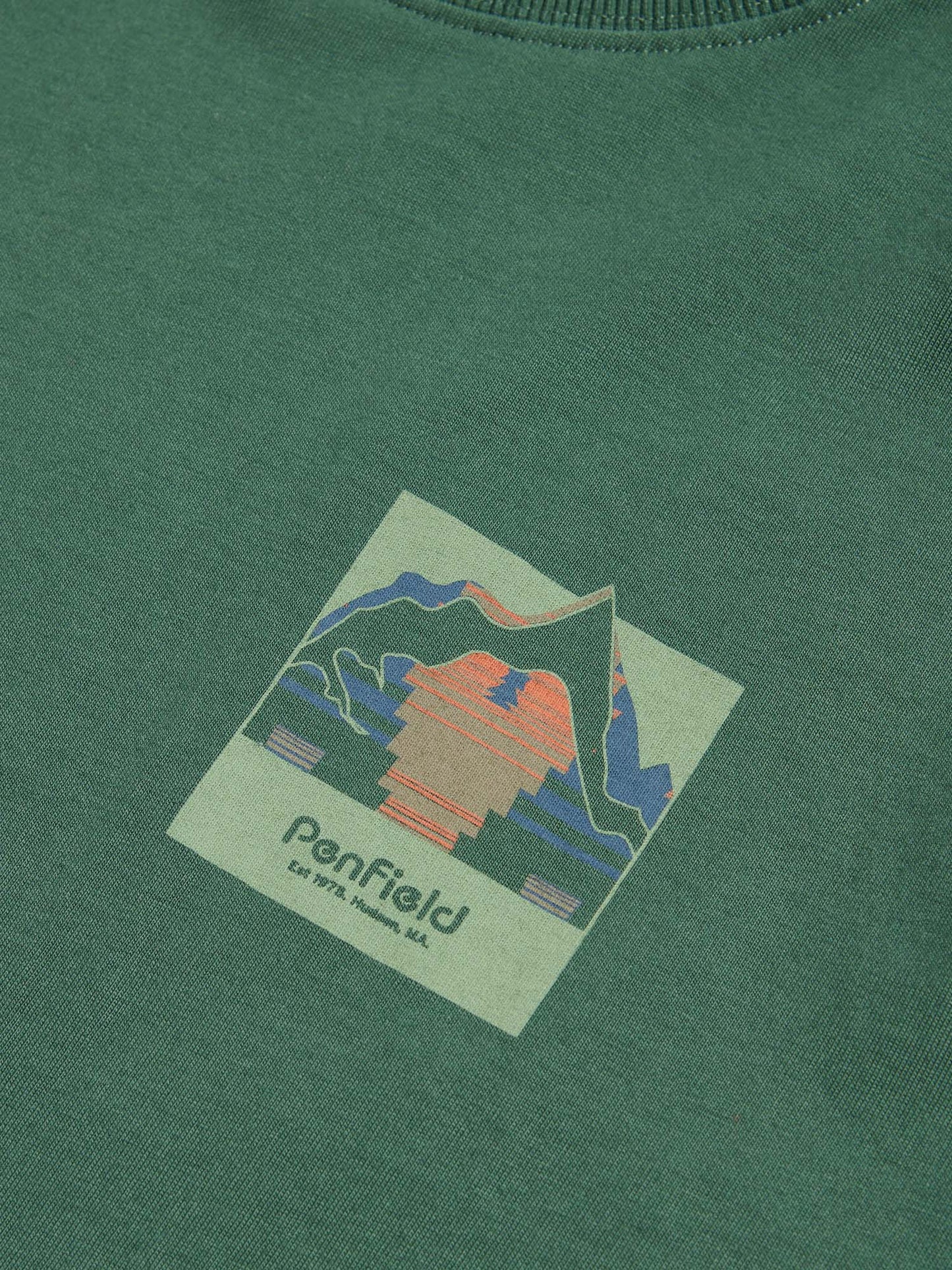 Mountain Back Forefounders T-Shirt in Cilantro