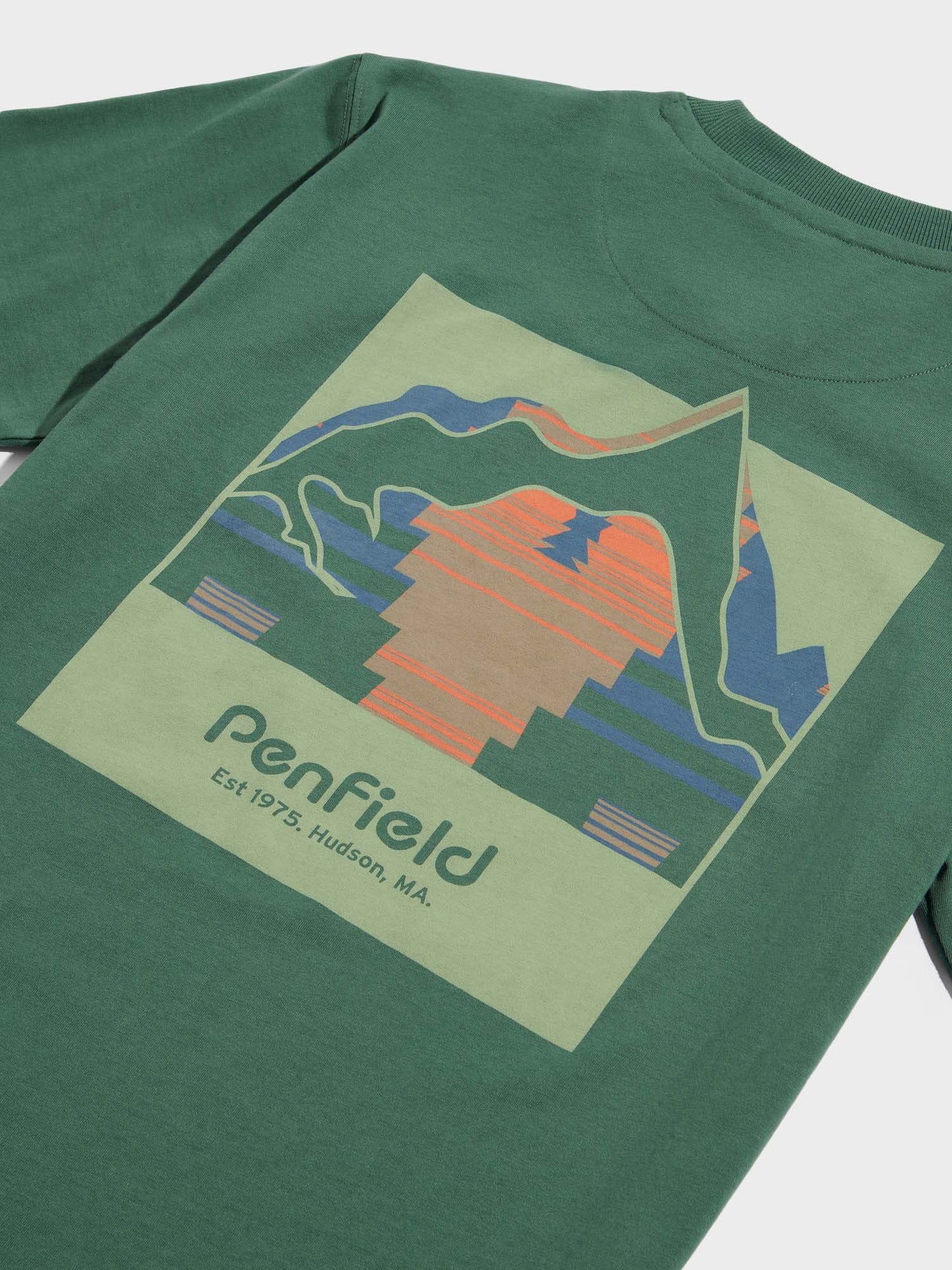 Mountain Back Forefounders T-Shirt in Cilantro