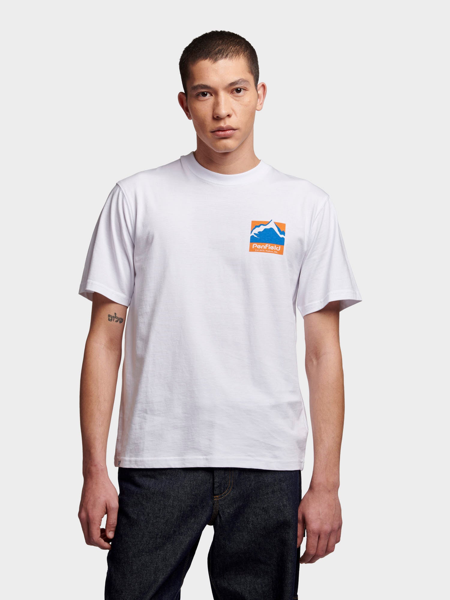 Relaxed Fit Mountain Scene Back Graphic T-Shirt in Bright White