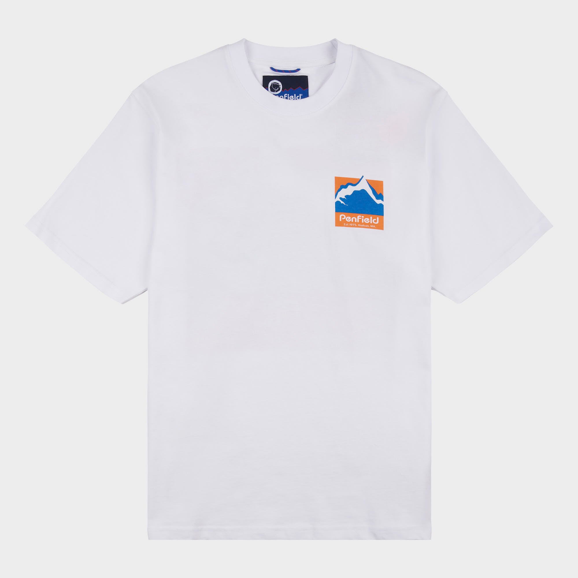 Relaxed Fit Mountain Scene Back Graphic T-Shirt in Bright White