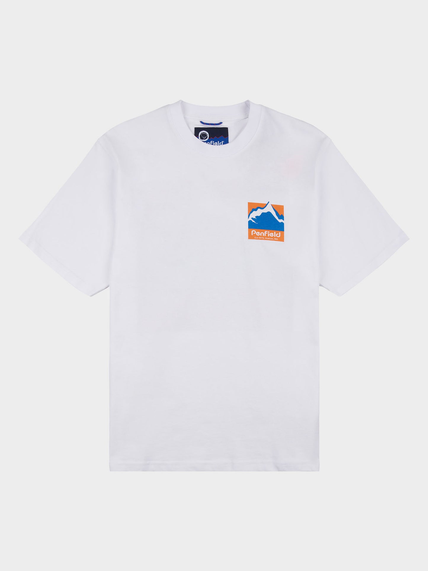 Relaxed Fit Mountain Scene Back Graphic T-Shirt in Bright White