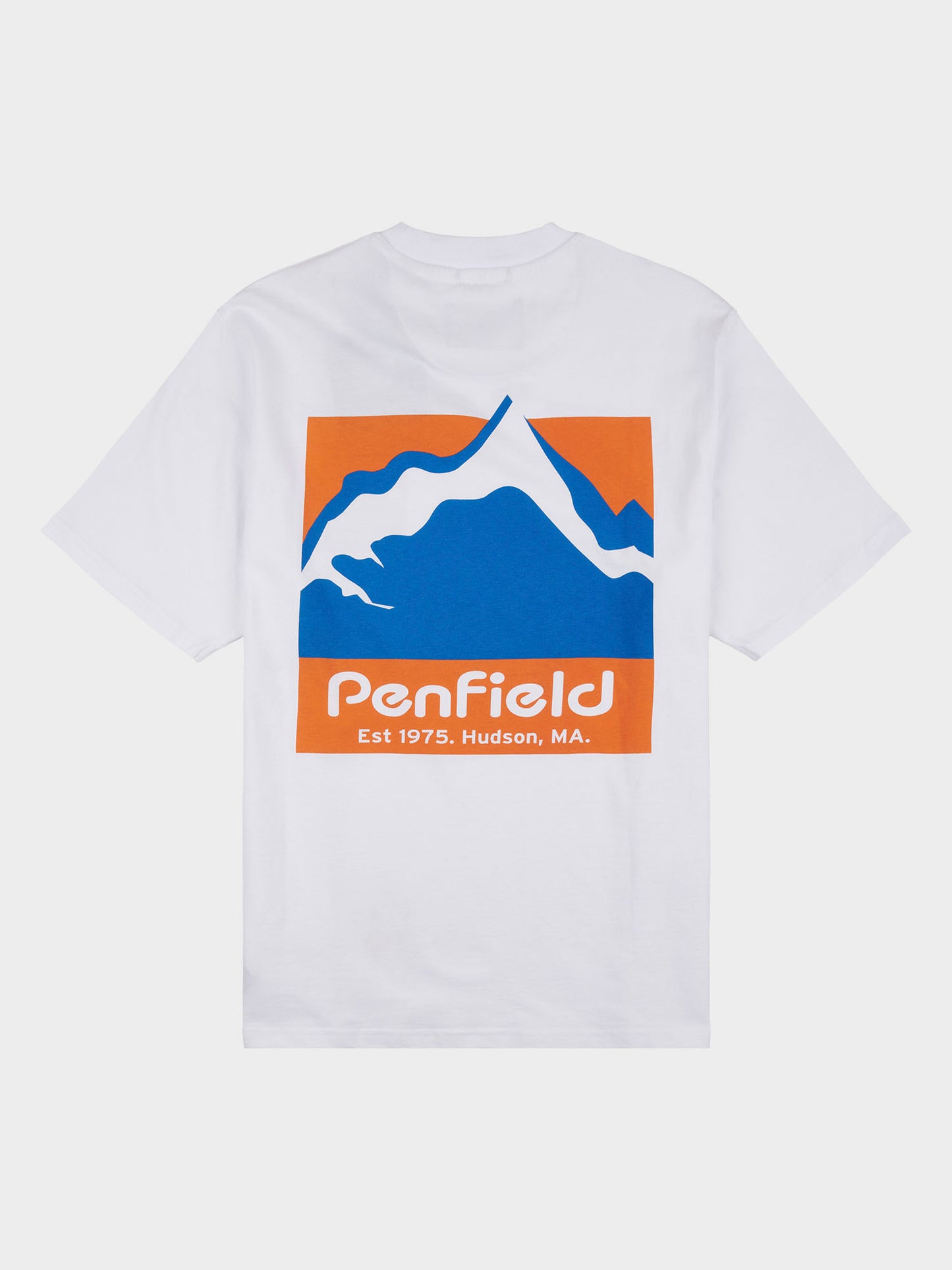 Relaxed Fit Mountain Scene Back Graphic T-Shirt in Bright White