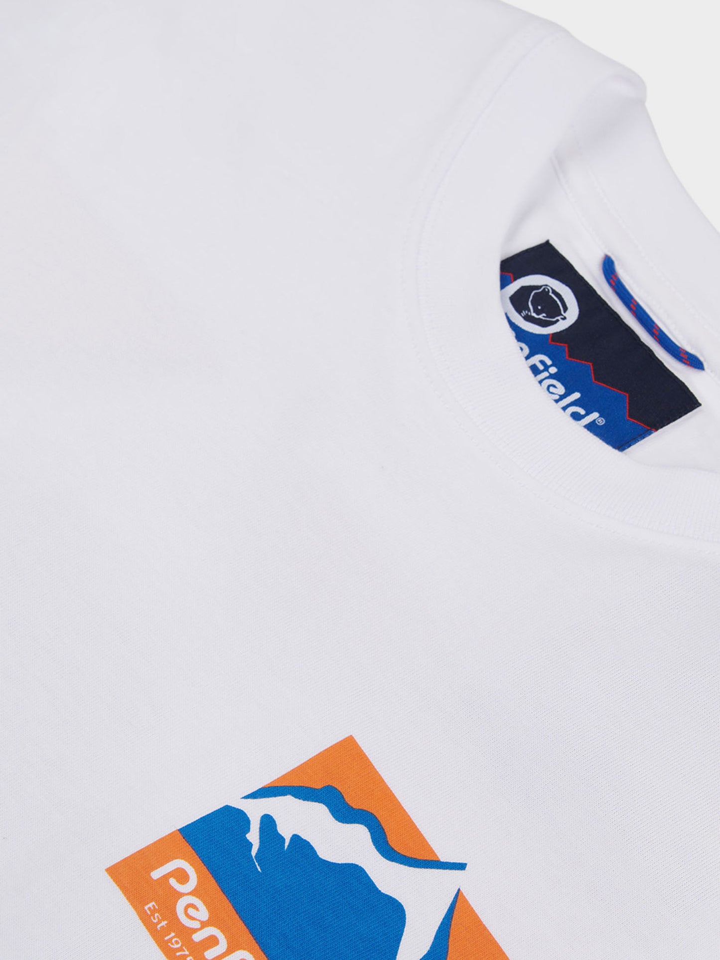 Relaxed Fit Mountain Scene Back Graphic T-Shirt in Bright White