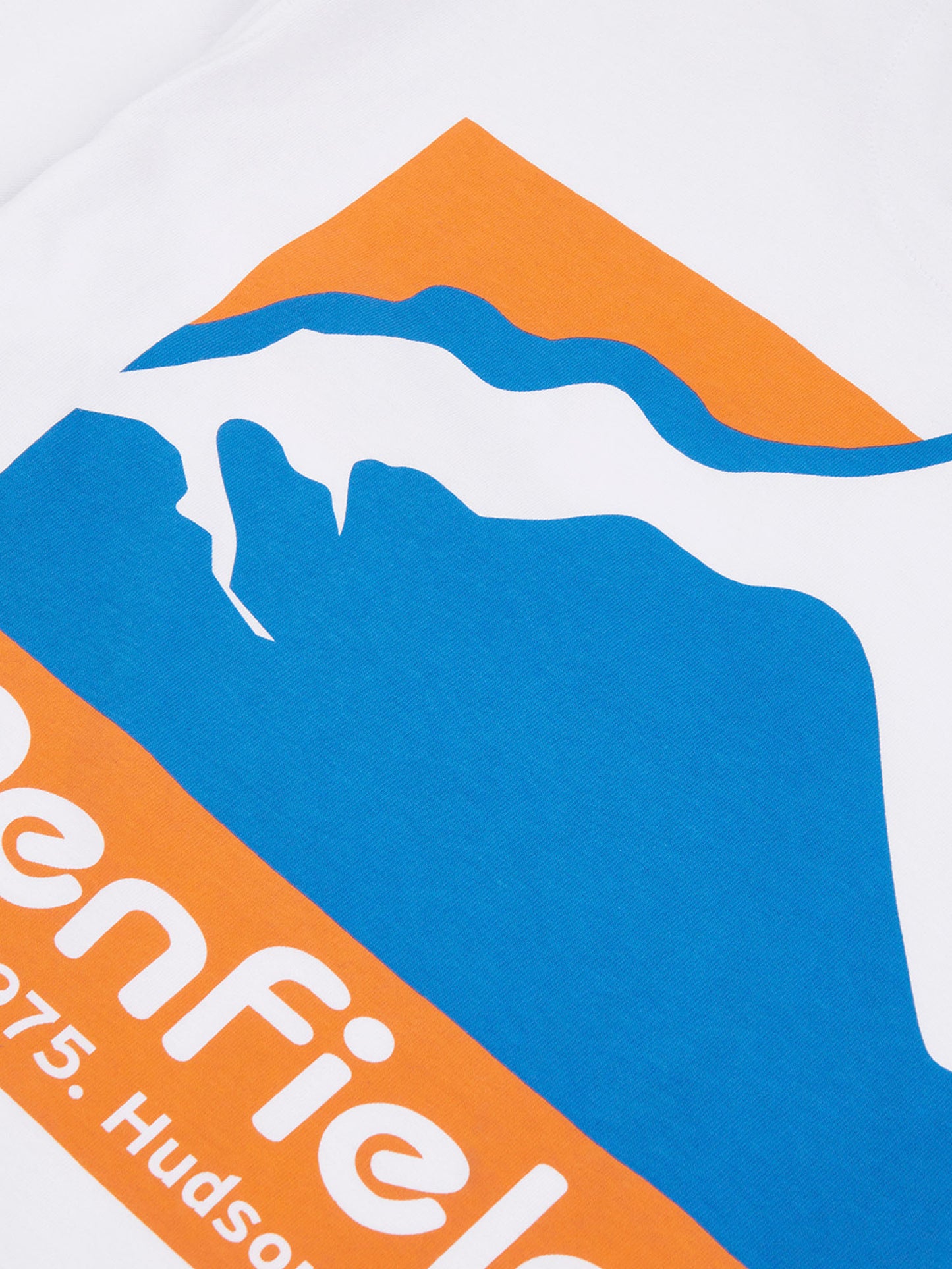 Relaxed Fit Mountain Scene Back Graphic T-Shirt in Bright White