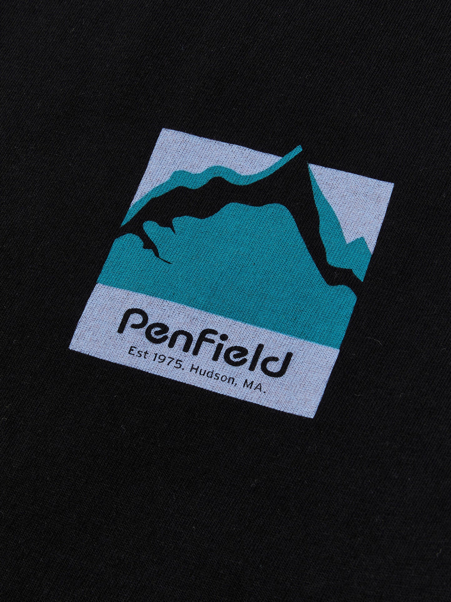 Relaxed Fit Mountain Scene Back Graphic T-Shirt in Black