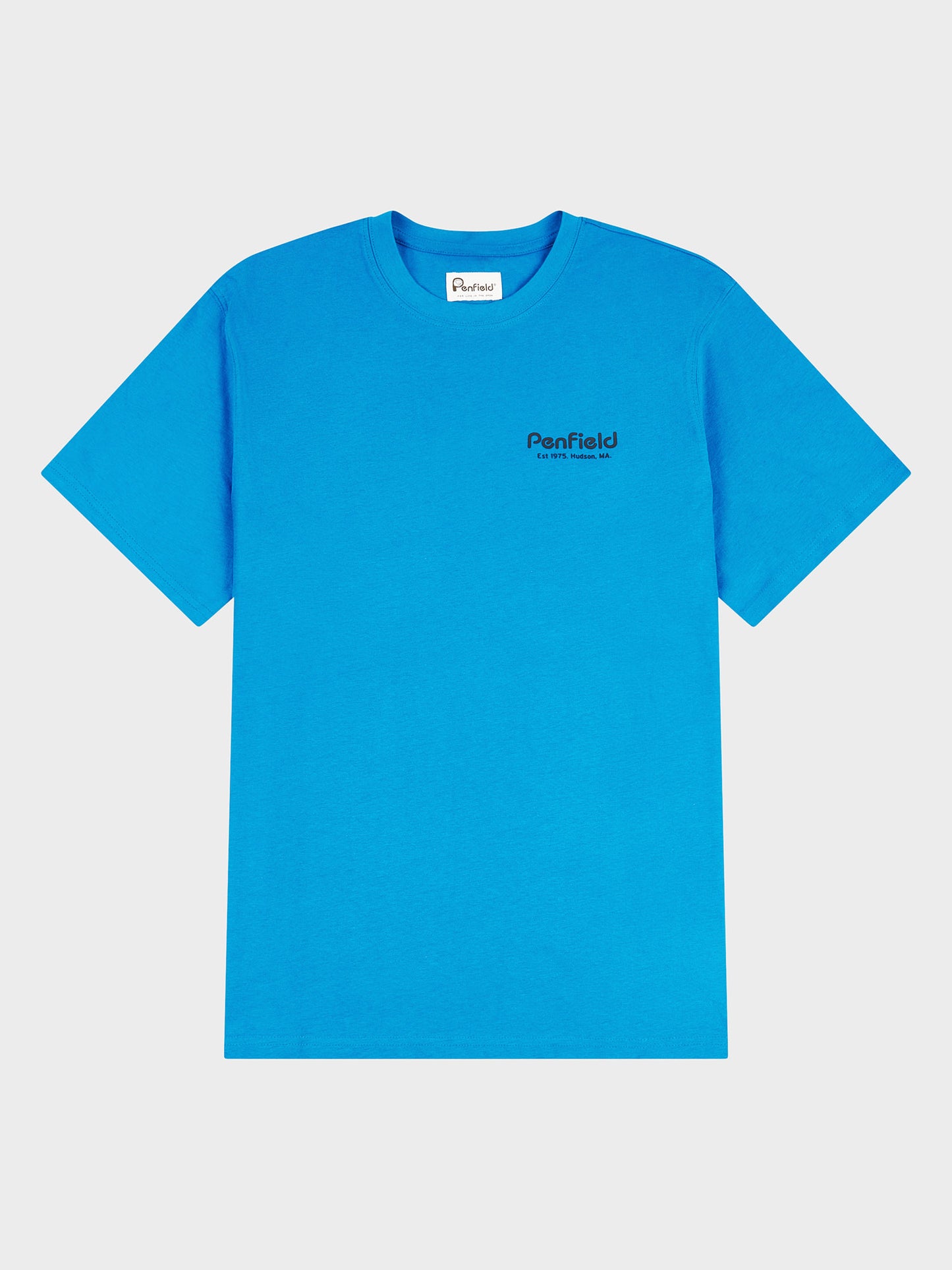 Hudson Script T-Shirt in Vallarta Blue