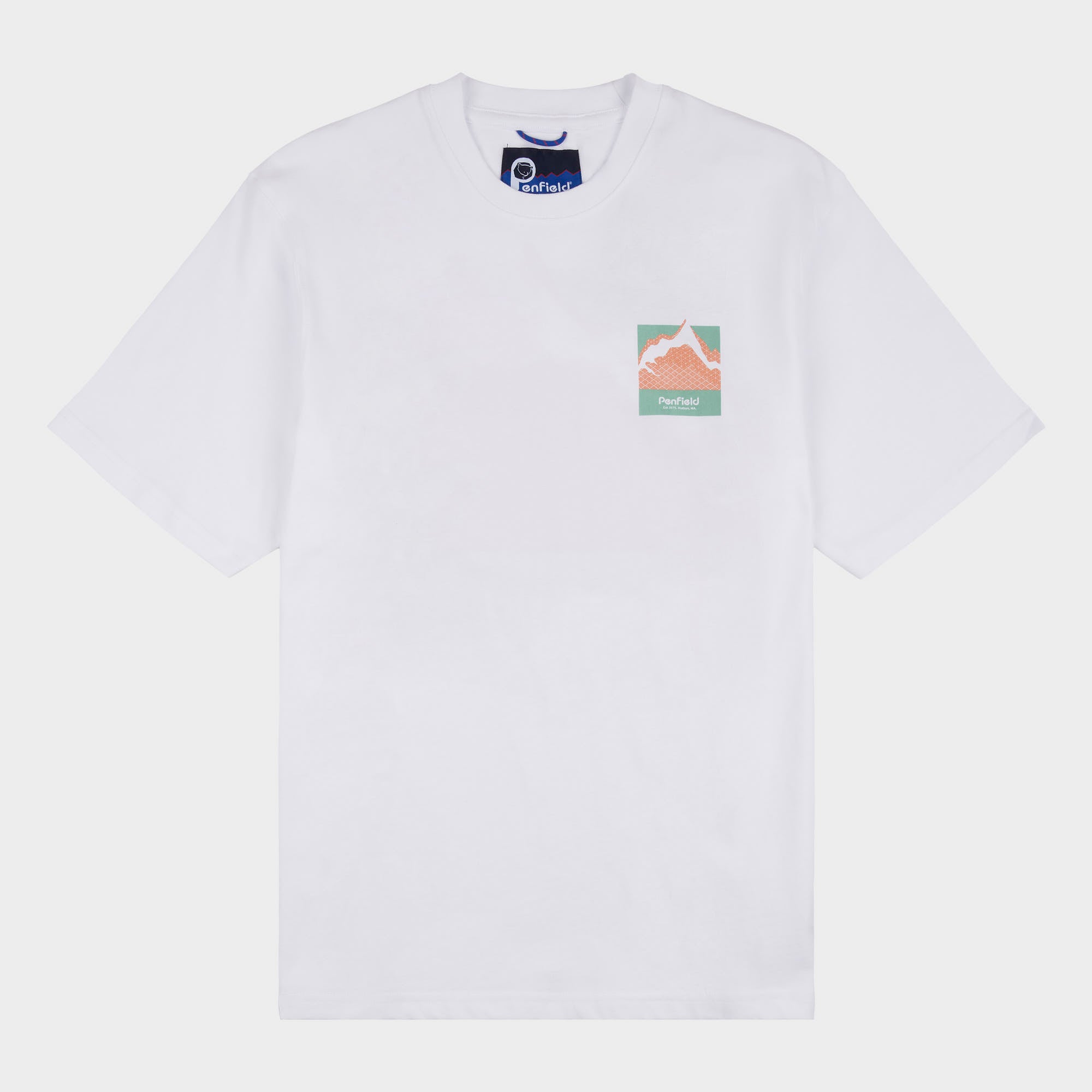 Relaxed Fit Mountain Back Print T-Shirt in Bright White
