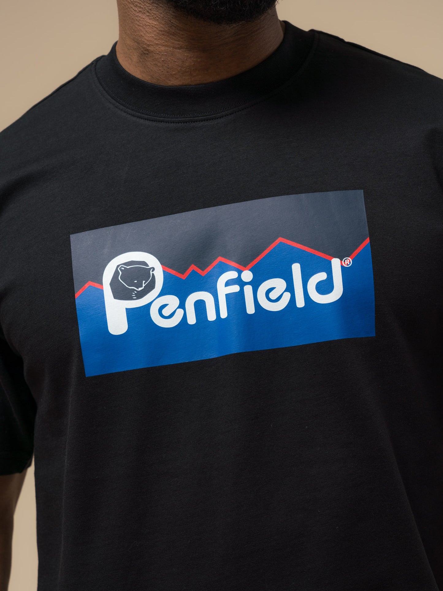 Penfield Mens Original Large Logo T-Shirt in Black
