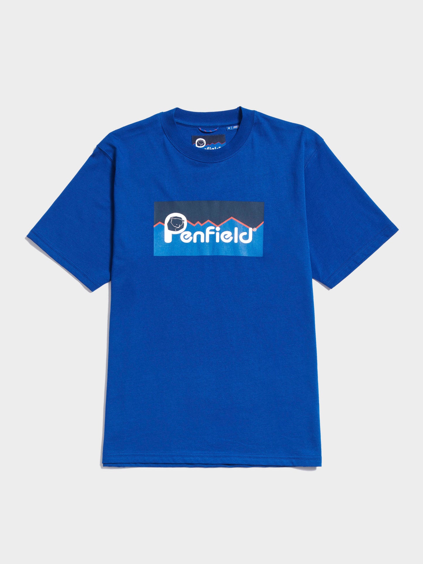 Penfield Mens Original Large Logo T-Shirt in Sodalite Blue