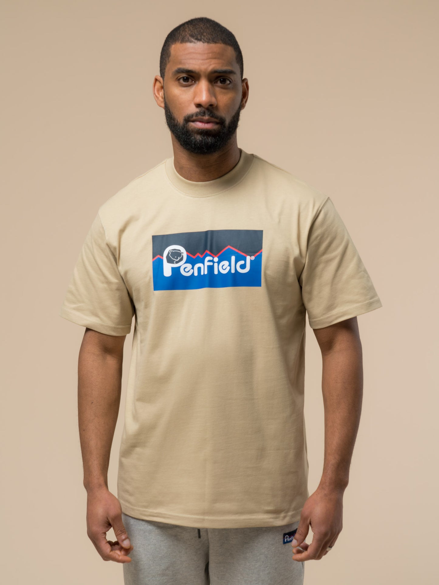 Penfield Mens Original Large Logo T-Shirt in Fields Of Rye