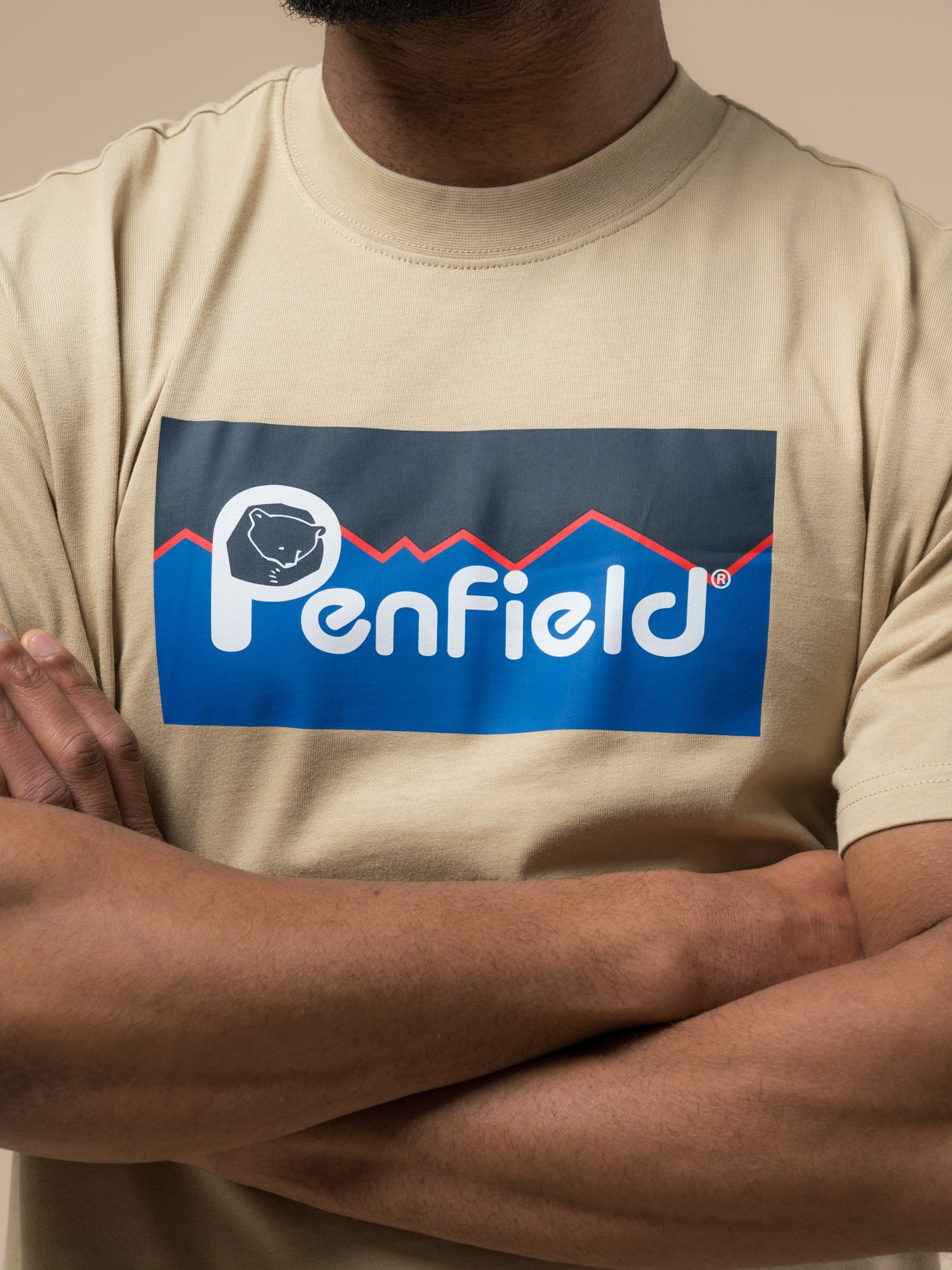 Penfield Mens Original Large Logo T-Shirt in Fields Of Rye