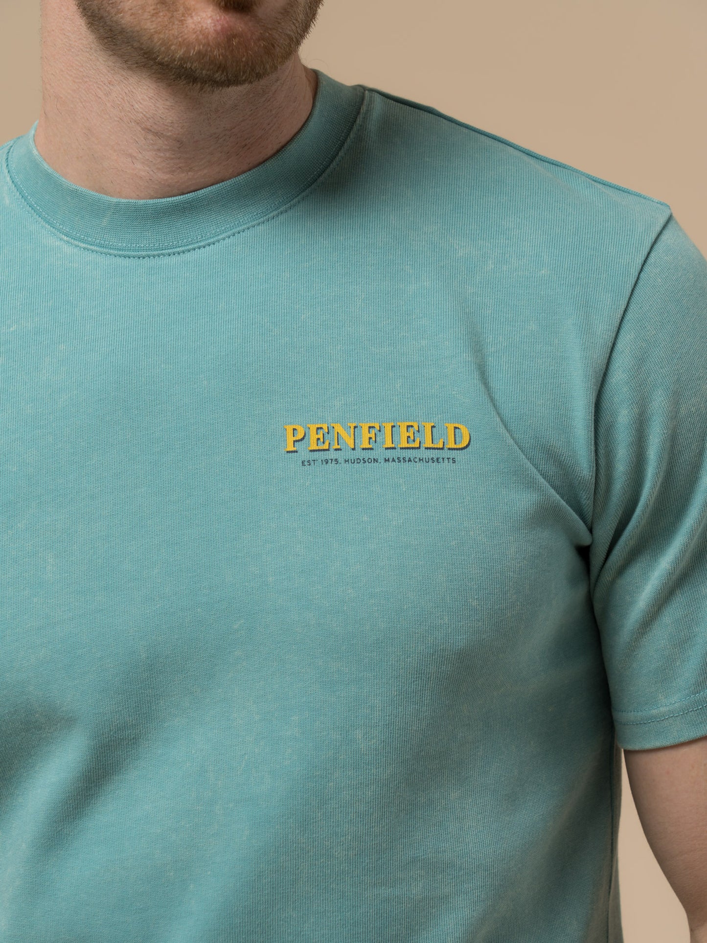 Penfield Mens Whale Scene T-Shirt in Dusty Turquoise