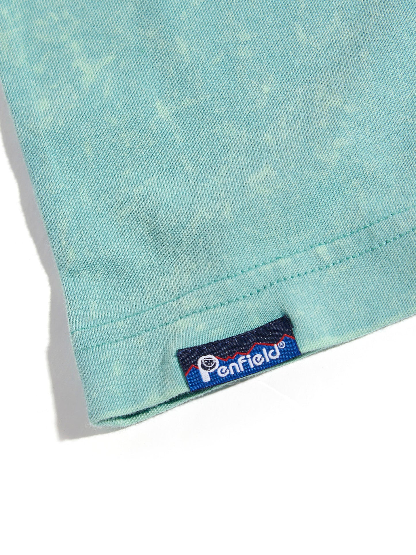 Penfield Mens Whale Scene T-Shirt in Dusty Turquoise