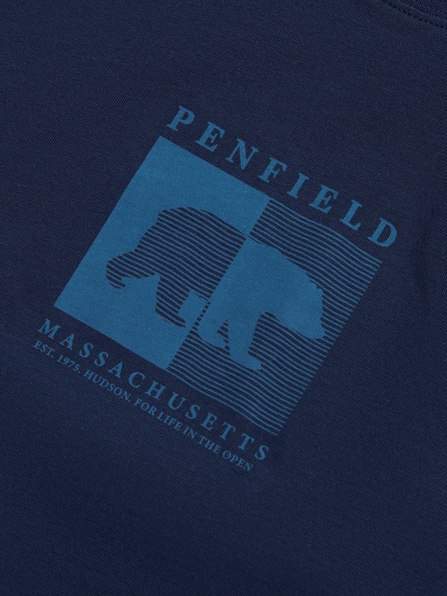 Penfield Mens Contrast Stripe Bear Graphic T-Shirt in Navy Blue