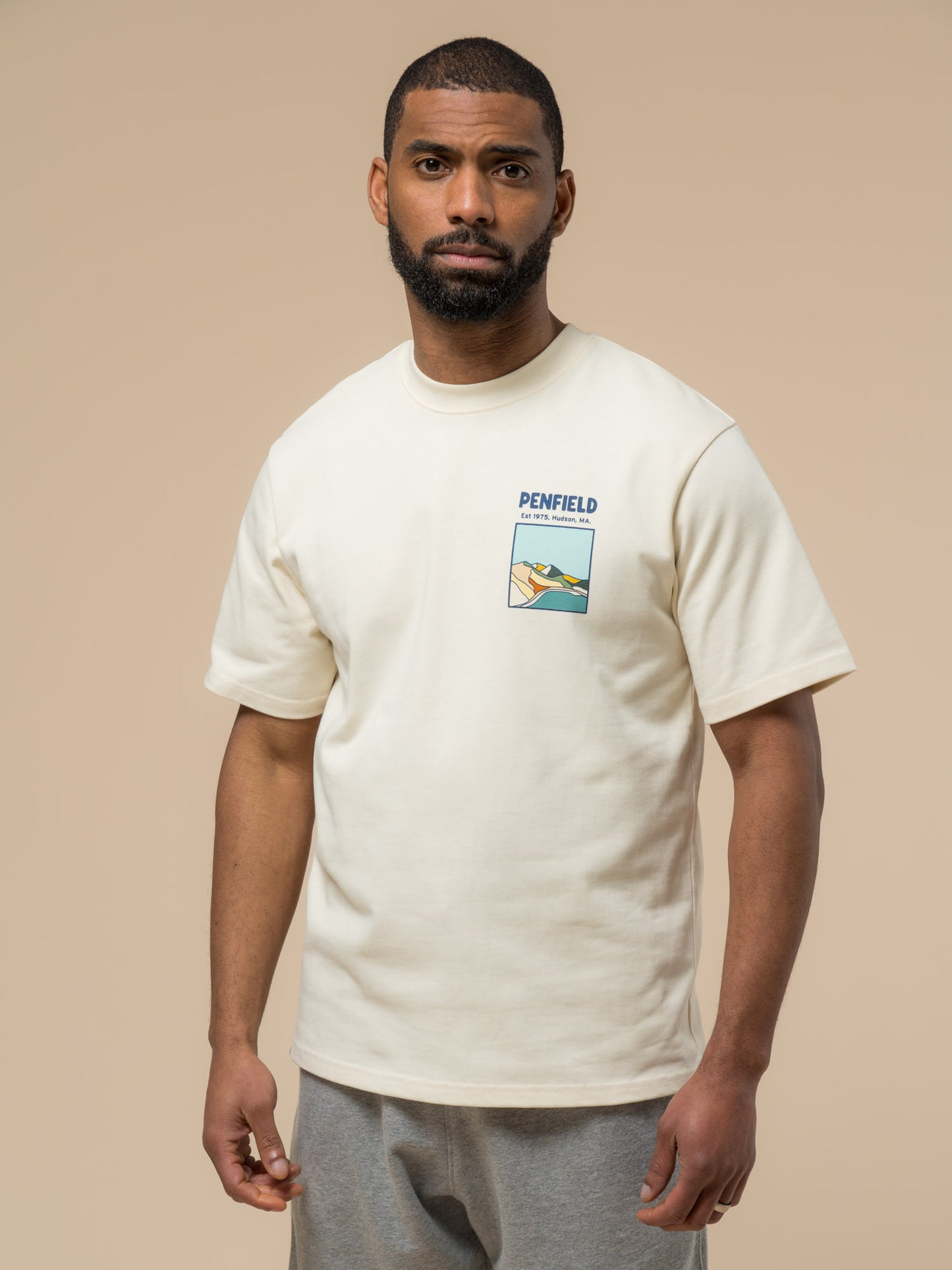 Penfield Mens Block Landscape Graphic T-Shirt in Vanilla Ice
