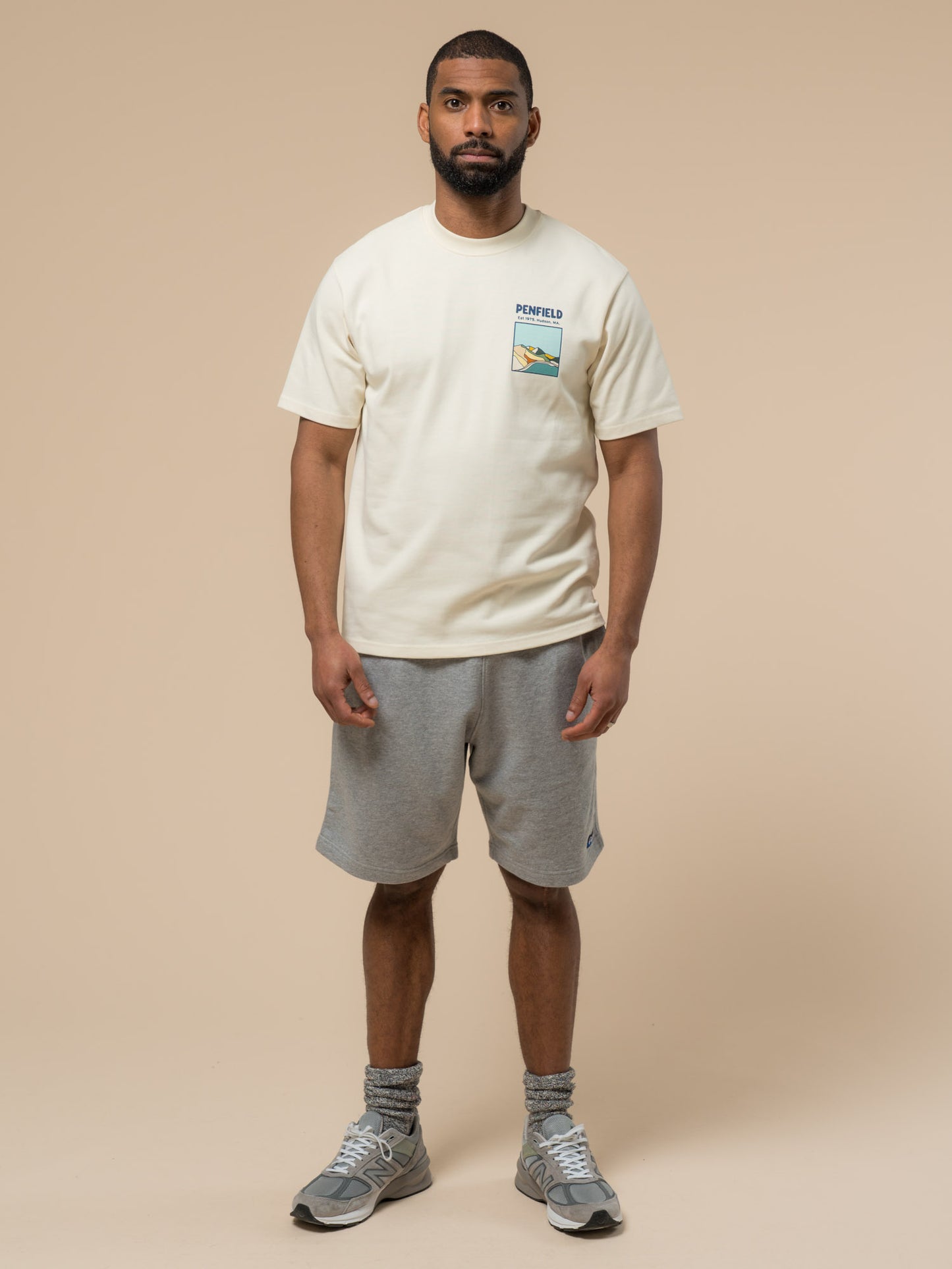 Penfield Mens Block Landscape Graphic T-Shirt in Vanilla Ice