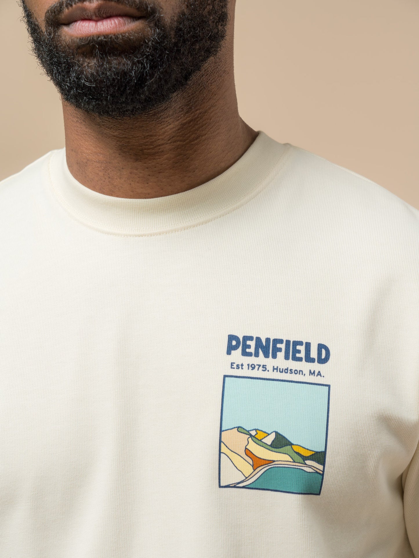 Penfield Mens Block Landscape Graphic T-Shirt in Vanilla Ice