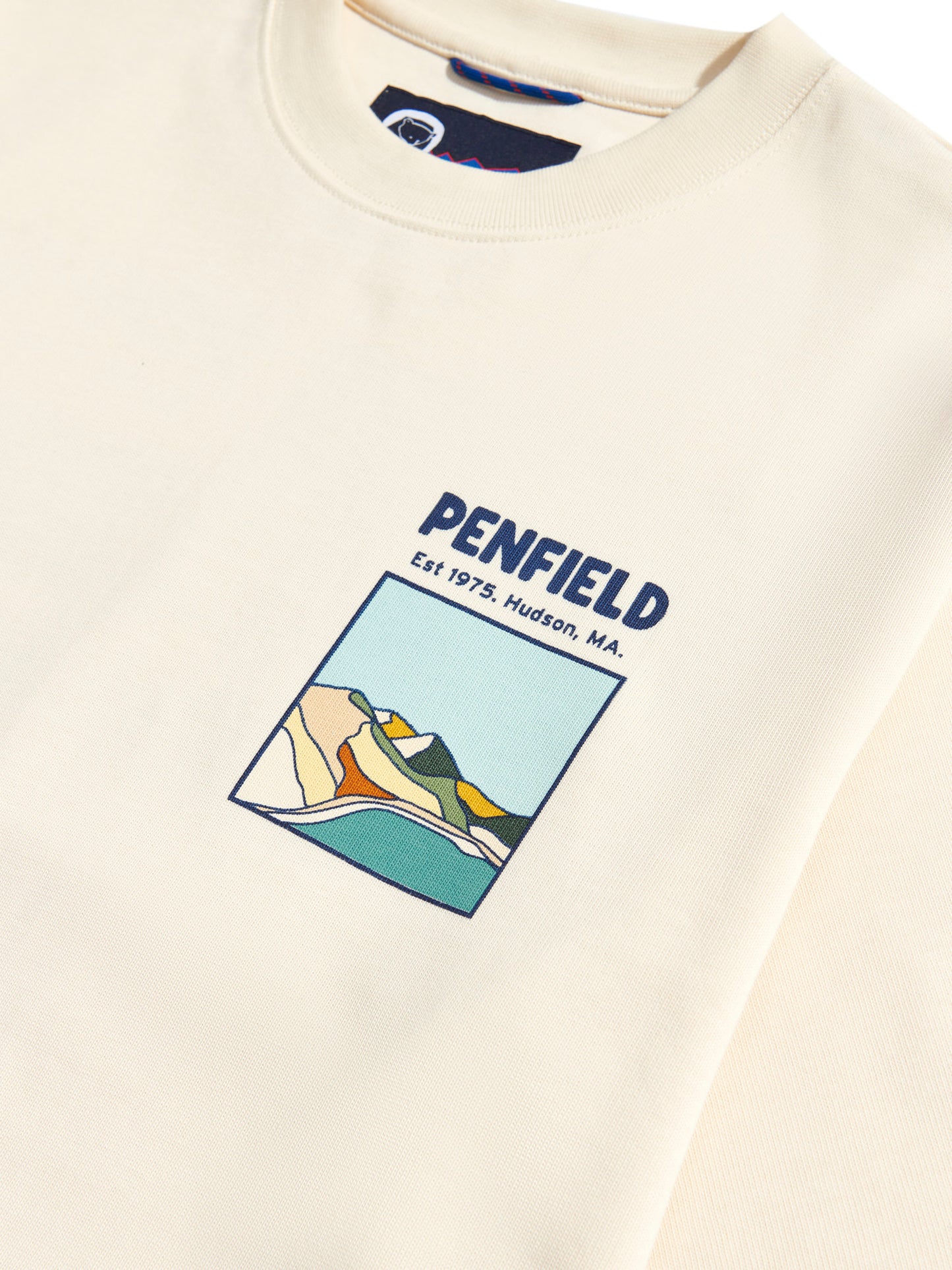 Penfield Mens Block Landscape Graphic T-Shirt in Vanilla Ice