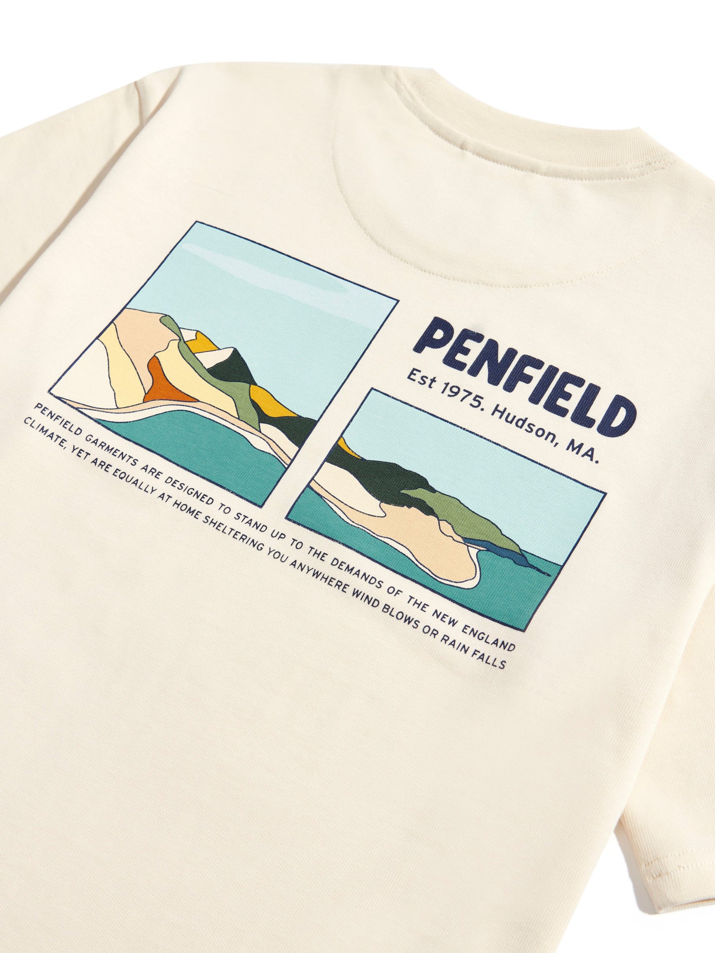 Penfield Mens Block Landscape Graphic T-Shirt in Vanilla Ice
