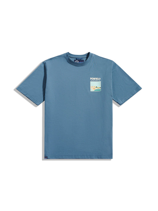 Penfield Mens Block Landscape Graphic T-Shirt in Blue Fusion