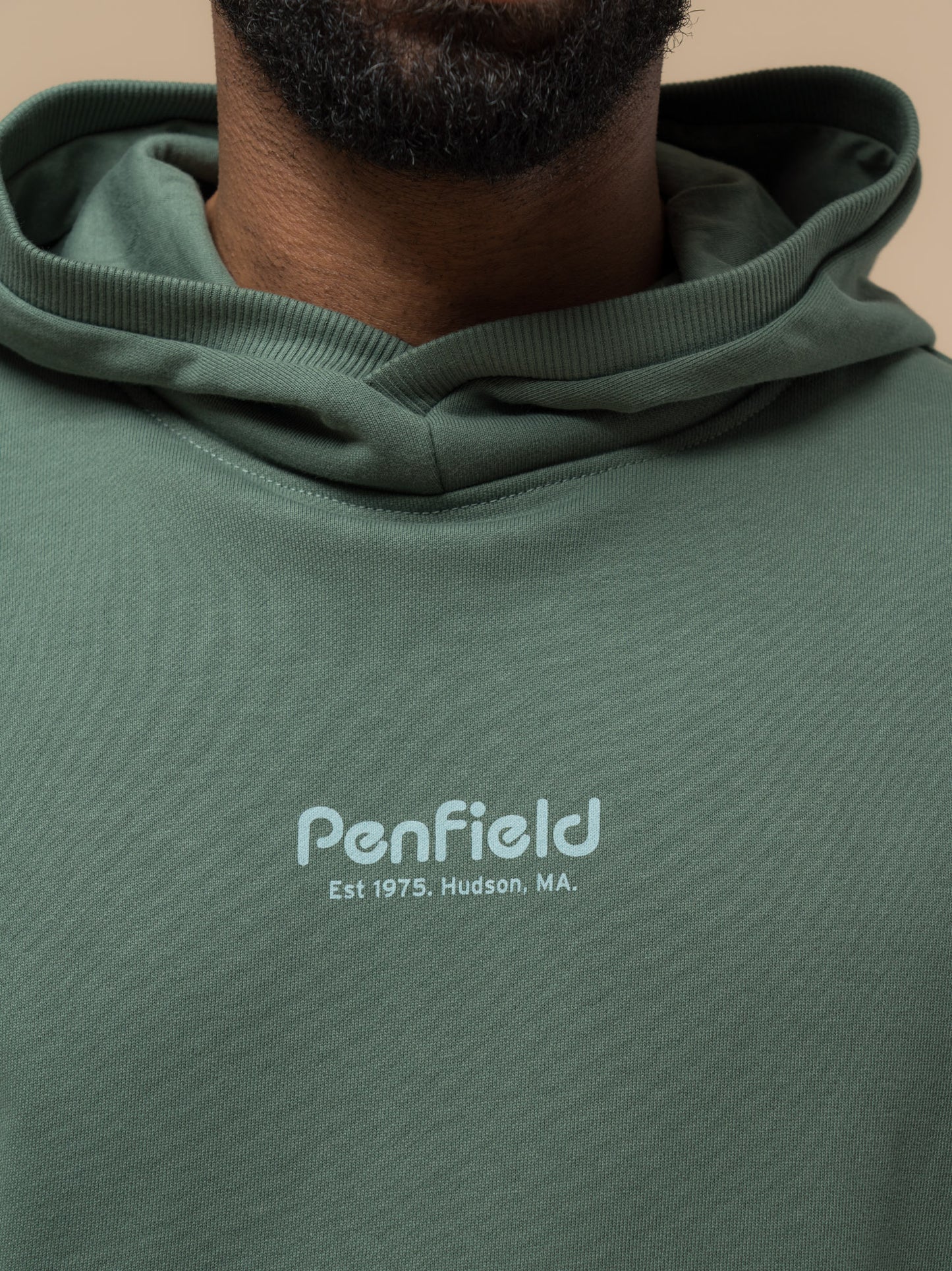 Penfield Mens Circle Landscape Hoodie in Dark Forest