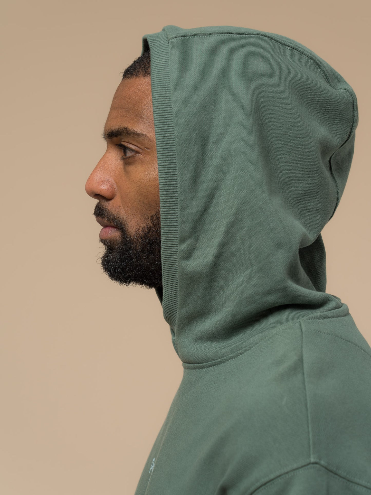 Penfield Mens Circle Landscape Hoodie in Dark Forest