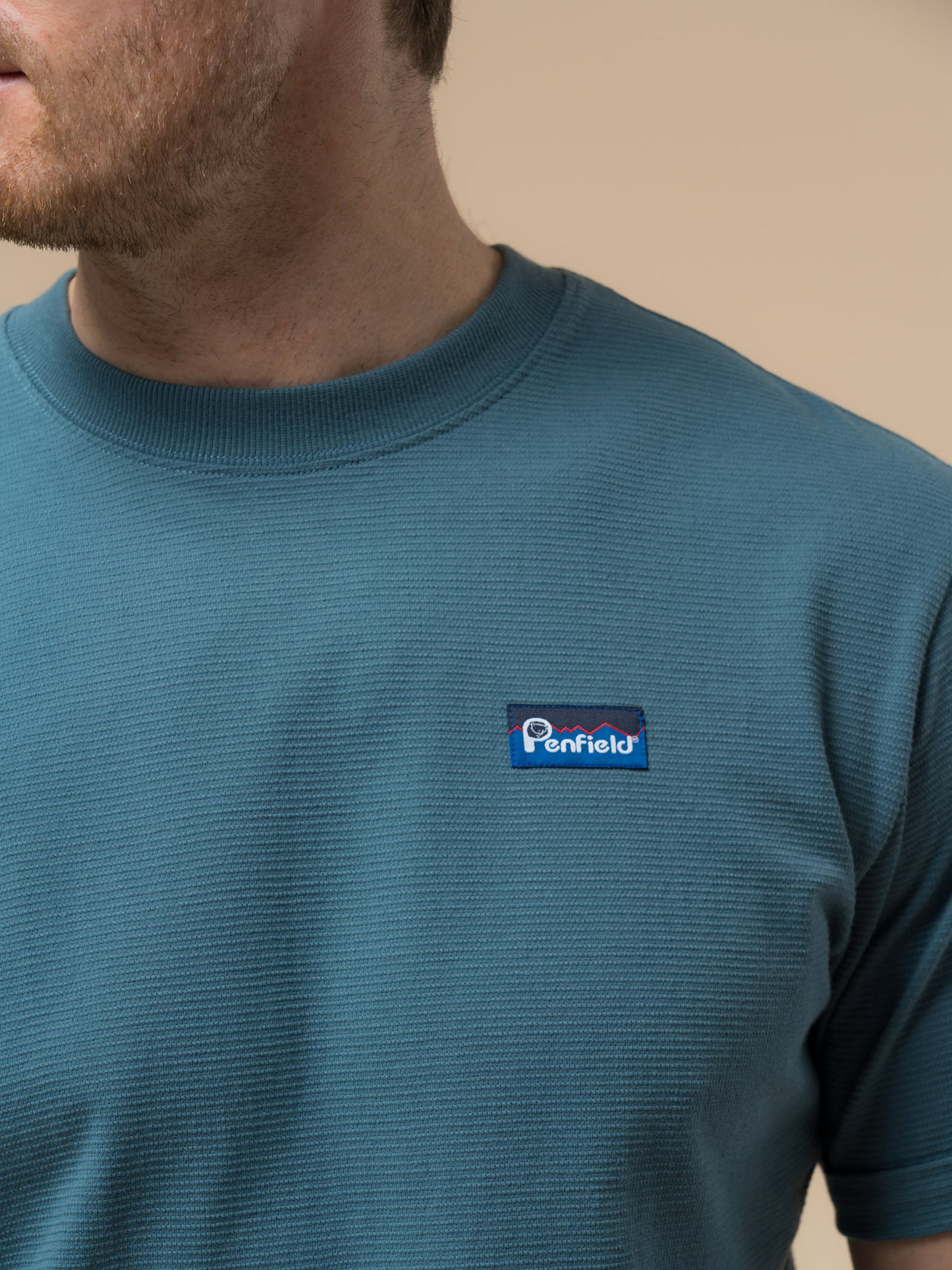 Penfield Mens Ripple Textured T-Shirt in Blue Fusion